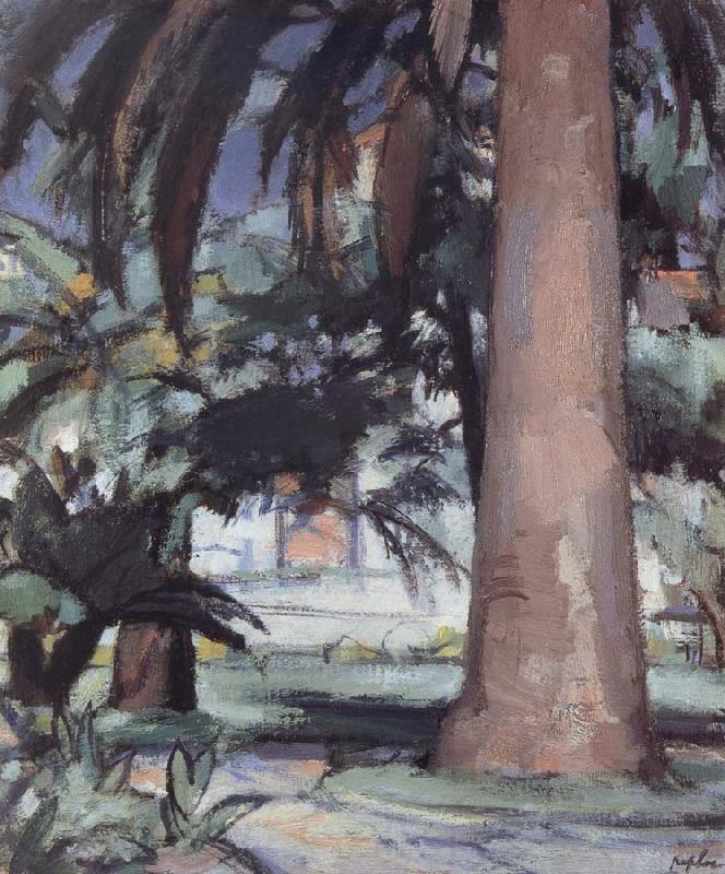 Samuel John Peploe Palm Trees,Antibes France oil painting art